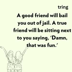 funny friendship quotes (3)