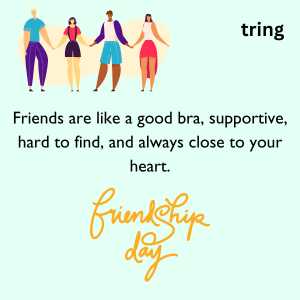 funny friendship quotes (5)