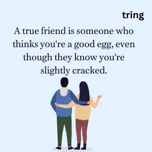 funny friendship quotes (6)