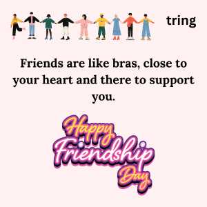 funny friendship quotes (7)