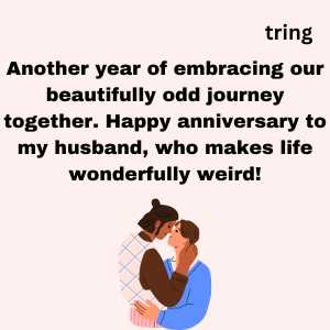 funny anniversary wishes for husband (10)