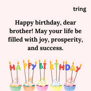 happy birthday brother quotes (6)