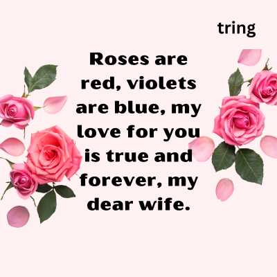 Rose Day Wishes for the Wife