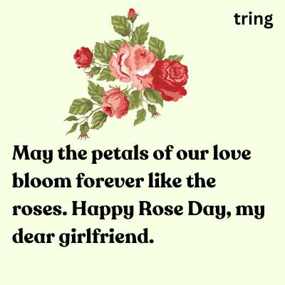 Rose Day Wishes for the Girlfriend