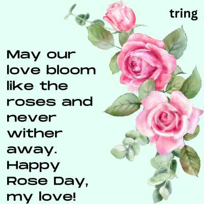 Rose Day Wishes for the Husband