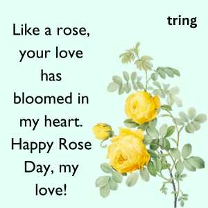 happy rose day my love (5)