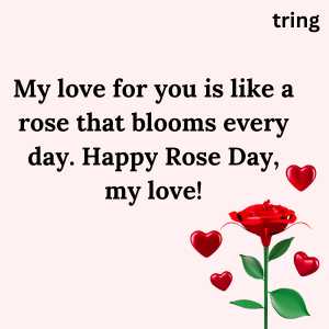 happy rose day my love (7)