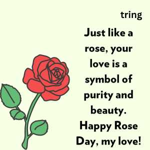 happy rose day my love (3)