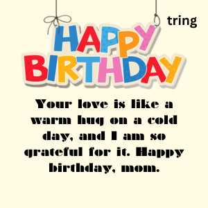 Heart Touching Birthday Quotes For Mom (10)