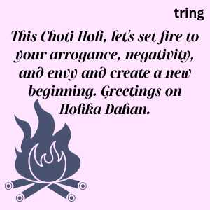 holika dahan (9)