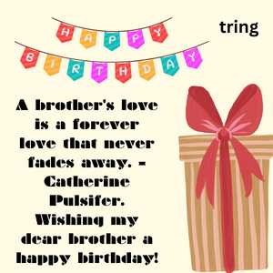 birthday quotes for brother (9)