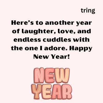 new year wishes for lover