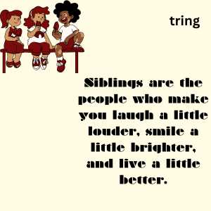 sibling day quotes (8)