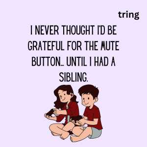 short sibling day quotes 