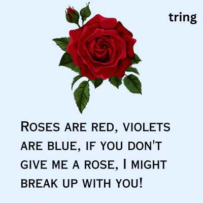 Funny Rose Day Wishes