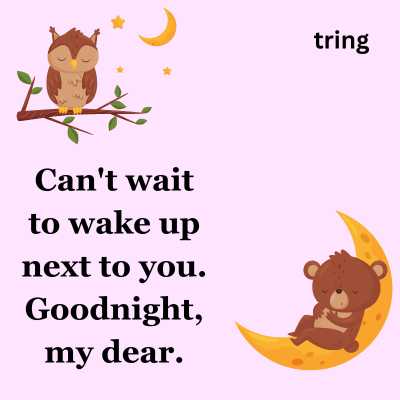 Short Romantic Goodnight Wishes