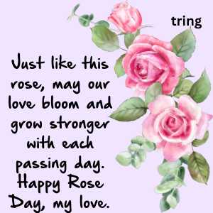 rose day wishes (5)