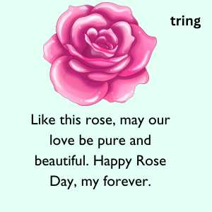 rose day wishes (6)