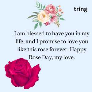 rose day wishes (7)