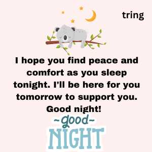 good night quotes for friend (10)