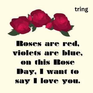 rose day wishes (1)