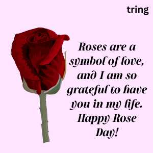 rose day wishes (3)