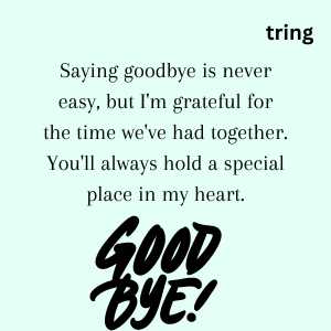 goodbye wishes (9)