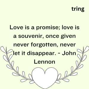 True Love Quotes (1)