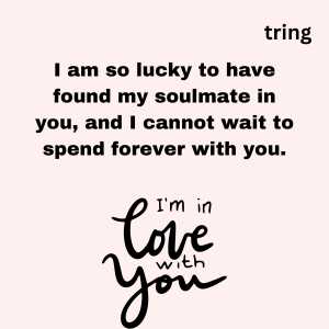 Romantic quotes for fiance (4)