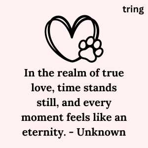 100+ Romantic True Love Quotes for your Love