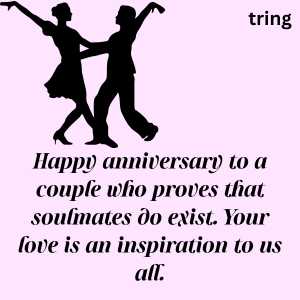 Happy anniversary wishes couple (2)