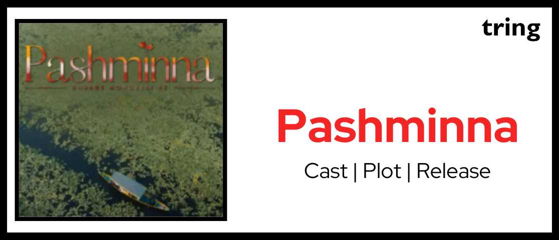 pashminna web  banner