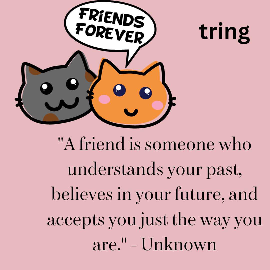 meaningful friendship quotes in English 