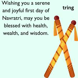 first day of navratri (3)