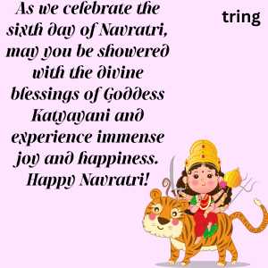 6th day of navratri (10)