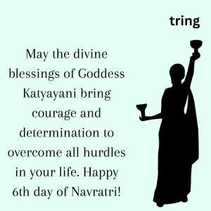 6th day of navratri (6)