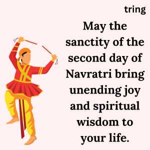 Second Day Of Navratri (8)