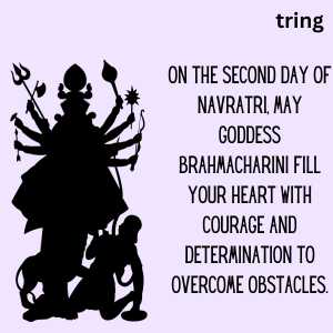 Second Day Of Navratri (1)