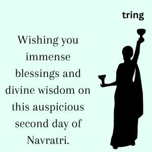 Second Day Of Navratri (9)