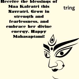 7th day of navratri (4)