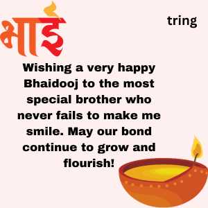 Bhai Dooj Wishes (8)