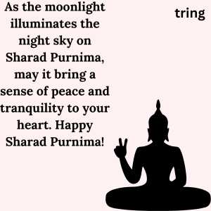 Sharad Purnima Wishes (5)
