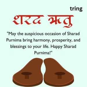 Sharad Purnima Wishes (3)