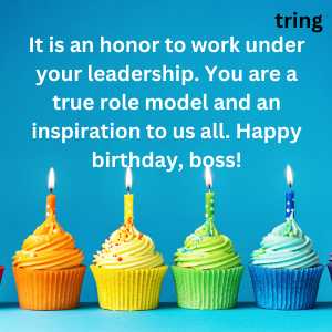 heart touching birthday wishes for boss (1)