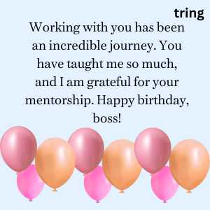 Birthday wishes for your mentor