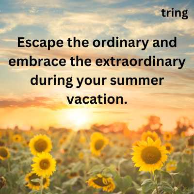 Summer Vacation Quotes for Instagram