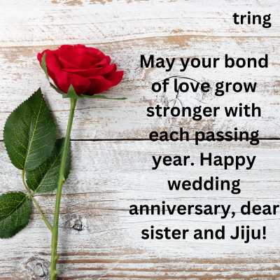 Wedding Anniversary Wishes for Sister and Jiju