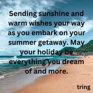 summer vacation wishes (2)