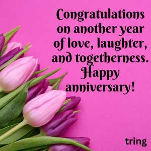 anniversary wishes for sister and jiju (7)