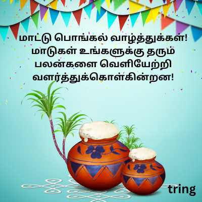 Mattu Pongal Wishes In Tamil